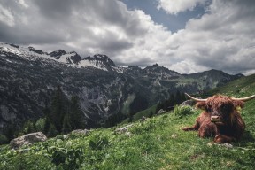 开云体育下载官网-世界上最奇怪的足球比赛和规则揭秘,世界上最奇葩的足球进球