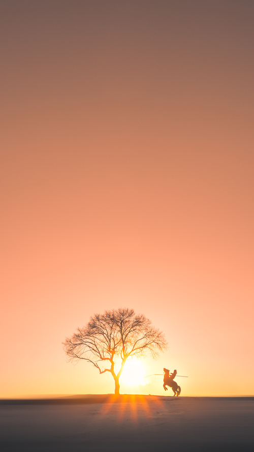 “科比的奇迹:那些令人震撼的场上细节”,科比创造了好多奇迹