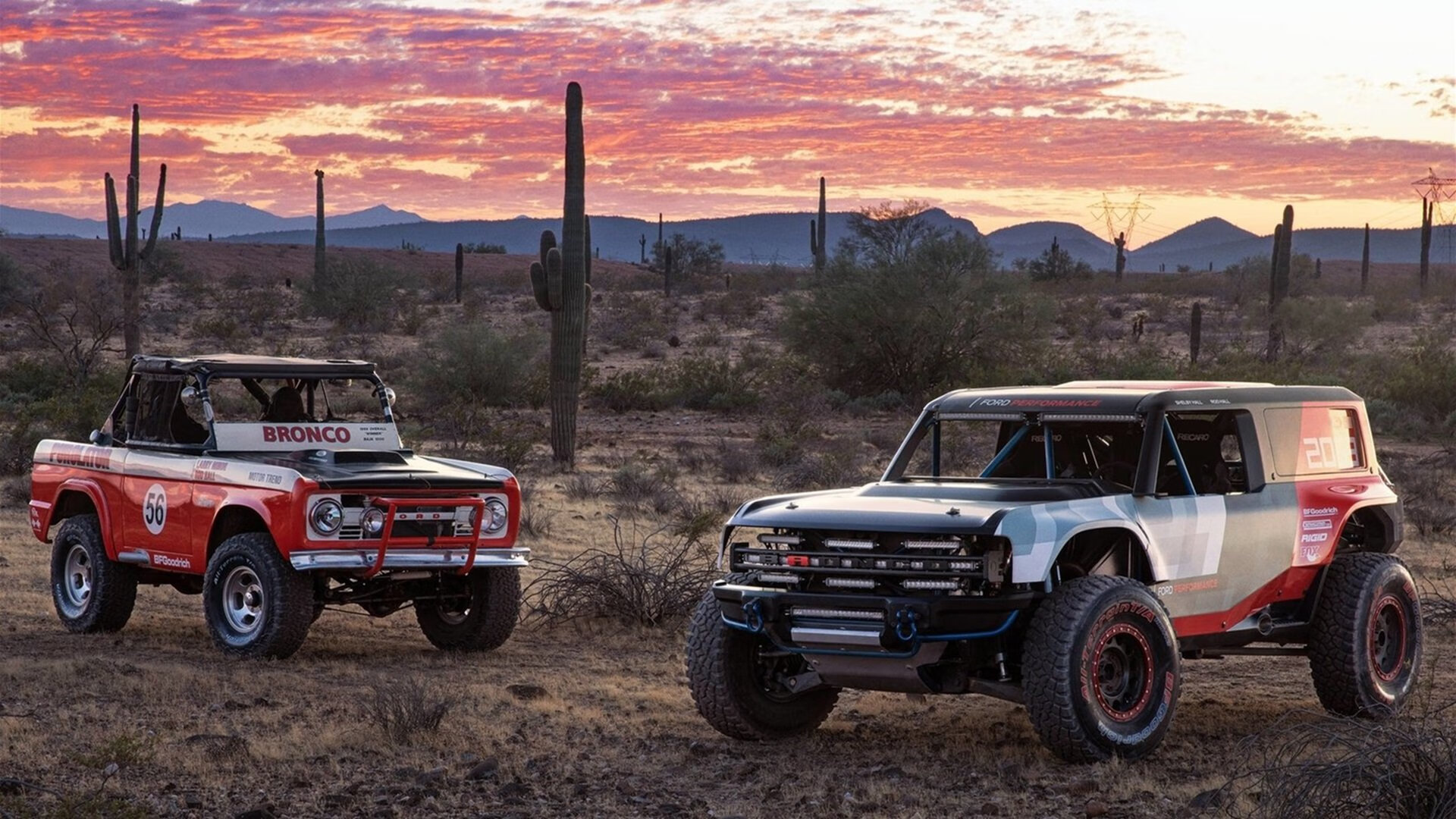 《王者荣耀冠军争夺,黑马强势崛起引发轰动》,王者荣耀游戏冠军